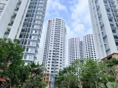 優勢教育資源落地海南 買房需擇名校而居