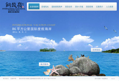 海南&middot;銅鼓嶺房地產項目網站設計