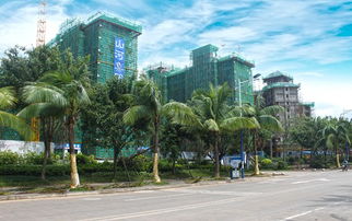 紫園c區(qū)完美封頂 醇熟社區(qū)指日可待