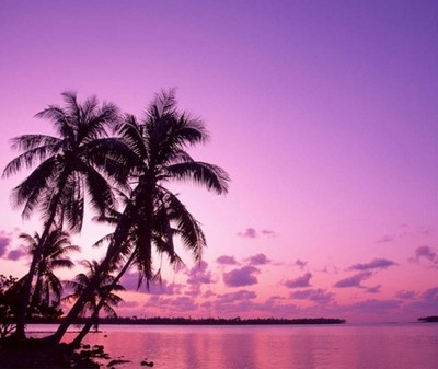 那些在海南買房的后悔了嗎?海南被稱為最理想的第二居所