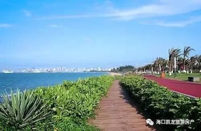 海南房價未來將超越一線城市,健康專家建議你現在去海南買房!