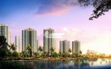 杜甫很忙 據(jù)說最近在海南看房買房(組圖)_新浪地產(chǎn)網(wǎng)