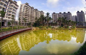 回眸2009 海南經濟持續回升運行質量提高，房產市場迎來新機遇