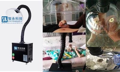 網(wǎng)絡科技領域內(nèi)的技術(shù)開發(fā) 創(chuàng)新引擎與未來趨勢